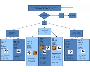 鋰電池分類規則及運輸要求匯總