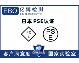 ձPSEJCC/PSEJCkʲô